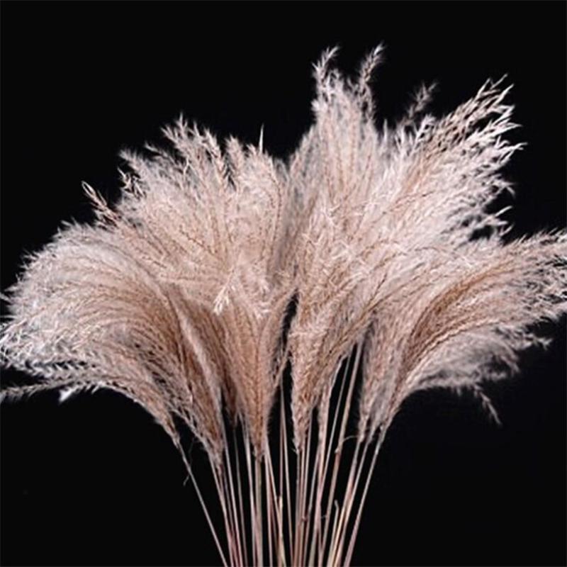 Decorative Flowers & Wreaths 100 Pieces Of Natural Dried Reed Bunch Bouquet Flower Arrangement Wedding Holiday Party Family Table Decoration