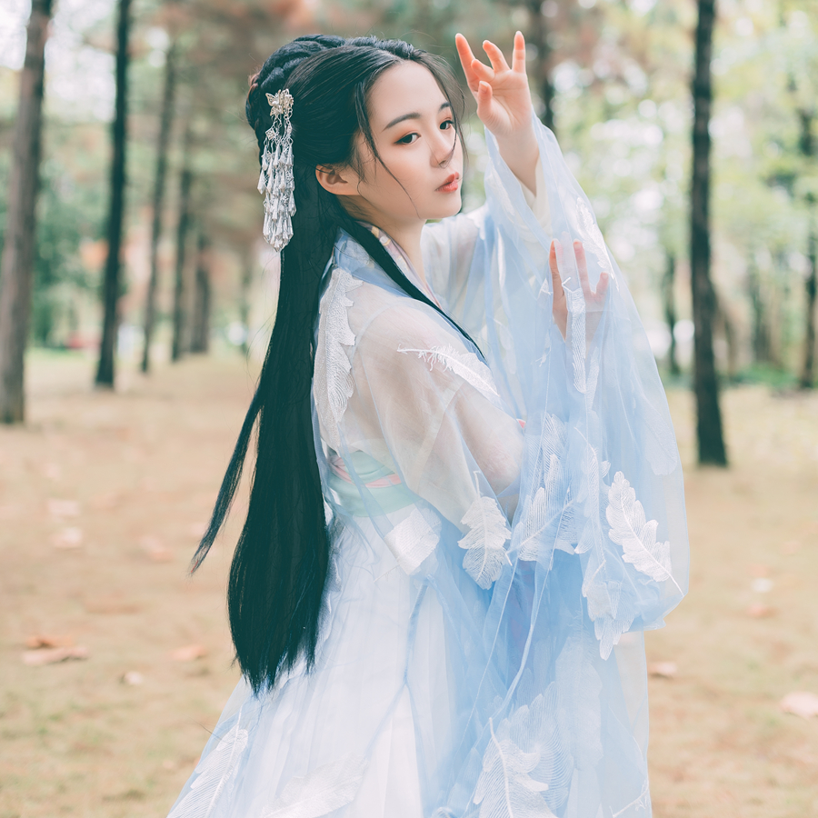 New Women Chinese Style Tang Suit Traditional Folk Costume Oriental Han Dynasty Fairy Dresses Hanfu Singer Printed Skirt Set For Women, White
New Women Chinese Style Tang Suit Traditional Folk Costume Oriental Han Dynasty Fairy Dresses Hanfu Singer Printed Skirt Set For Women, White