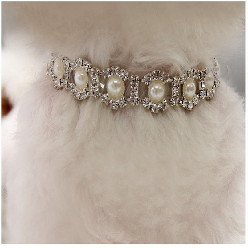 Rhinestone Pearl Necklace Dog Collar Alloy Diamond Pet Collars Mascotas Dog Accessories Leashes For Little Dogs Pet Supplies Promotion
Rhinestone Pearl Necklace Dog Collar Alloy Diamond Pet Collars Mascotas Dog Accessories Leashes For Little Dogs Pet Supplies Promotion