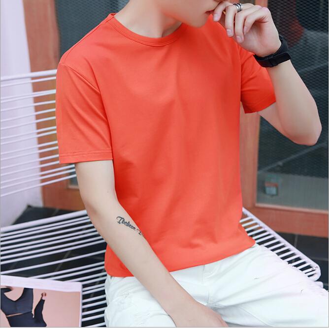 Classic O-Neck Cotton Tee Shirts for Both Genders - Comfortable Short Sleeves Available in Various Hues