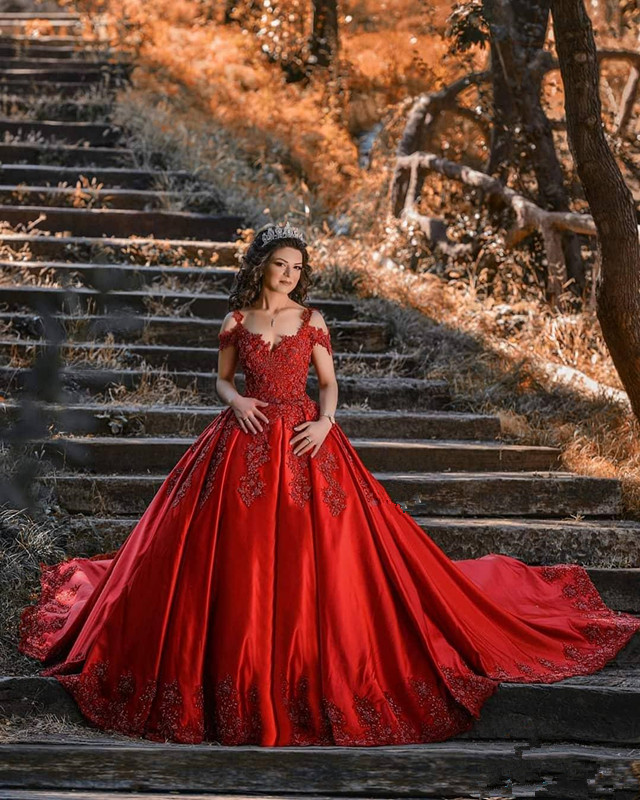 2020 Aso Ebi A Line Wedding Dresses Red Lace Applique Satin Wedding Gowns Spaghetti Straps NEWEST Bride Dress, Chocolate
2020 Aso Ebi A Line Wedding Dresses Red Lace Applique Satin Wedding Gowns Spaghetti Straps NEWEST Bride Dress, Chocolate
