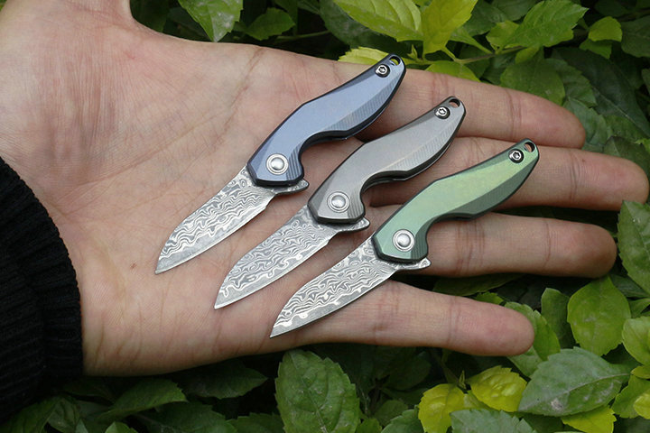 3 Handles Colors MIni Small Flipper Folding Knife VG10 Damascus Steel Blade TC4 Titanium Alloy Handle EDC Necklace Chain Knives
3 Handles Colors MIni Small Flipper Folding Knife VG10 Damascus Steel Blade TC4 Titanium Alloy Handle EDC Necklace Chain Knives
