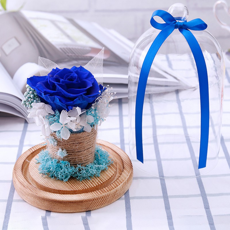 Preserved Valentines Day Gift Everlasting flower With Glass Cover Rose In Glass Dome Mother's Day Gift