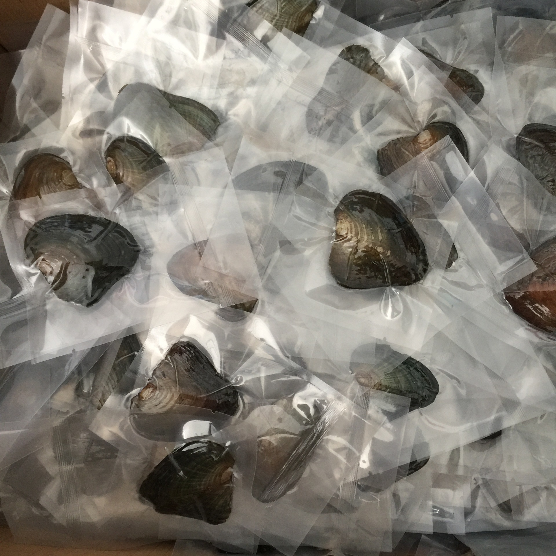 freshwater pearl Round Cultured Pearl Oyster 25 colors 6-7mm akoya PARTY FAVOR Vacuum Packaging 
freshwater pearl Round Cultured Pearl Oyster 25 colors 6-7mm akoya PARTY FAVOR Vacuum Packaging
