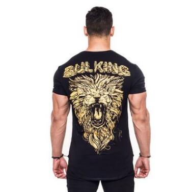 New Sports clothing Gyms Tight t-shirt mens fitness t-shirt homme Running Gyms t shirt men fitness crossfit Summer tops, Gray
New Sports clothing Gyms Tight t-shirt mens fitness t-shirt homme Running Gyms t shirt men fitness crossfit Summer tops, Gray