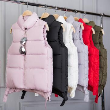 Wholesale 2019 autumn and winter women's short section Harajuku down cotton padded vest jacket size S-XXXL, Pink
Wholesale 2019 autumn and winter women's short section Harajuku down cotton padded vest jacket size S-XXXL, Pink