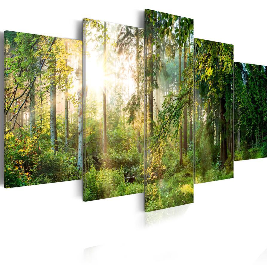 5 Panels Beautiful Spring Tree and Forest Modern Creative Nature Landscape Photography Picture Wall Art Picture Modern Home Decor Living Roo