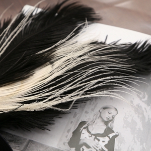 Baffle headband headdress black feather butterfly headband hair accessory with crystal