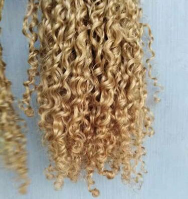 Short Screw Curls wraps around Honey blonde Clip Ponytail Extensions Human Clip in Drawstring Curly Ponytail Hairpiece 100g