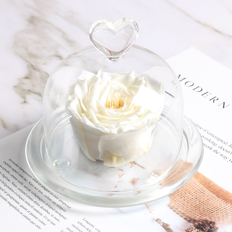 Eternal Rose- Preserved Flower Rose Fresh Flower Rose Gift Valentine's Day Mother's Day Anniversary Birthday Thanksgiving Girls, D mini
Eternal Rose- Preserved Flower Rose Fresh Flower Rose Gift Valentine's Day Mother's Day Anniversary Birthday Thanksgiving Girls, D mini
