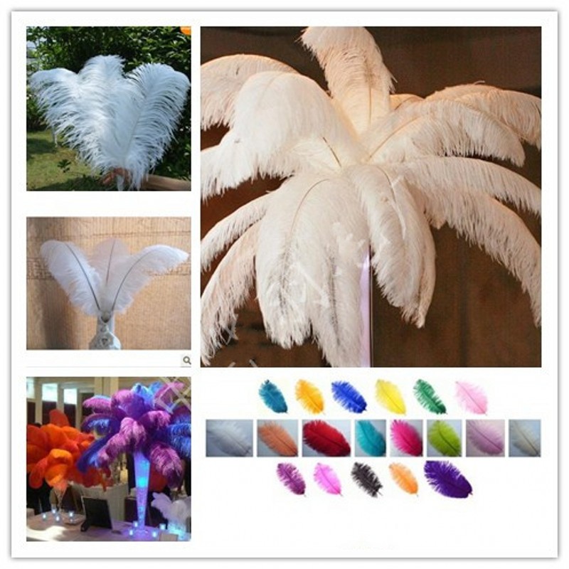 Colorful 20-22 inch(50-55 cm) Ostrich Feather plumes for wedding centerpiece wedding party event decor festive decoration
Colorful 20-22 inch(50-55 cm) Ostrich Feather plumes for wedding centerpiece wedding party event decor festive decoration