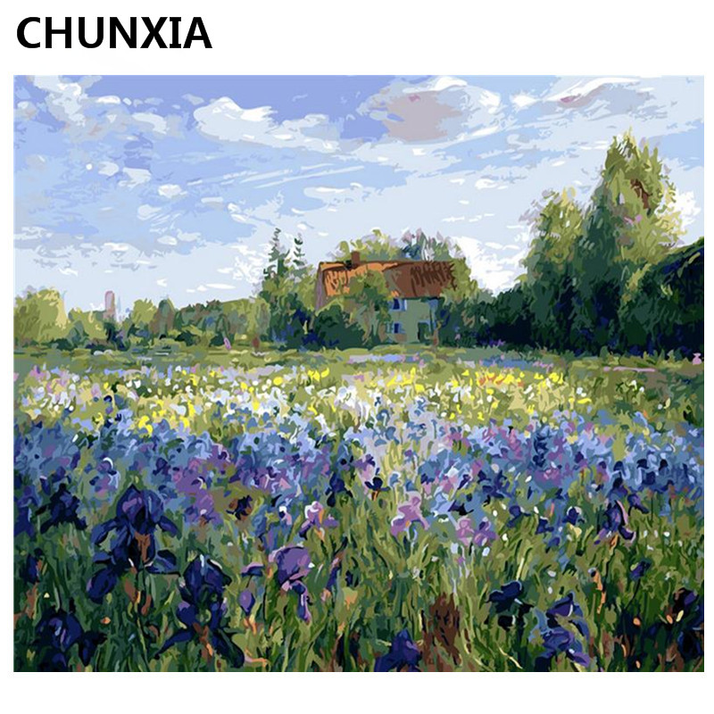 CHUNXIA Painting By Numbers DIY Framed Oil Paint Pictures Wall Art Home Decor Unique Gift A006
CHUNXIA Painting By Numbers DIY Framed Oil Paint Pictures Wall Art Home Decor Unique Gift A006