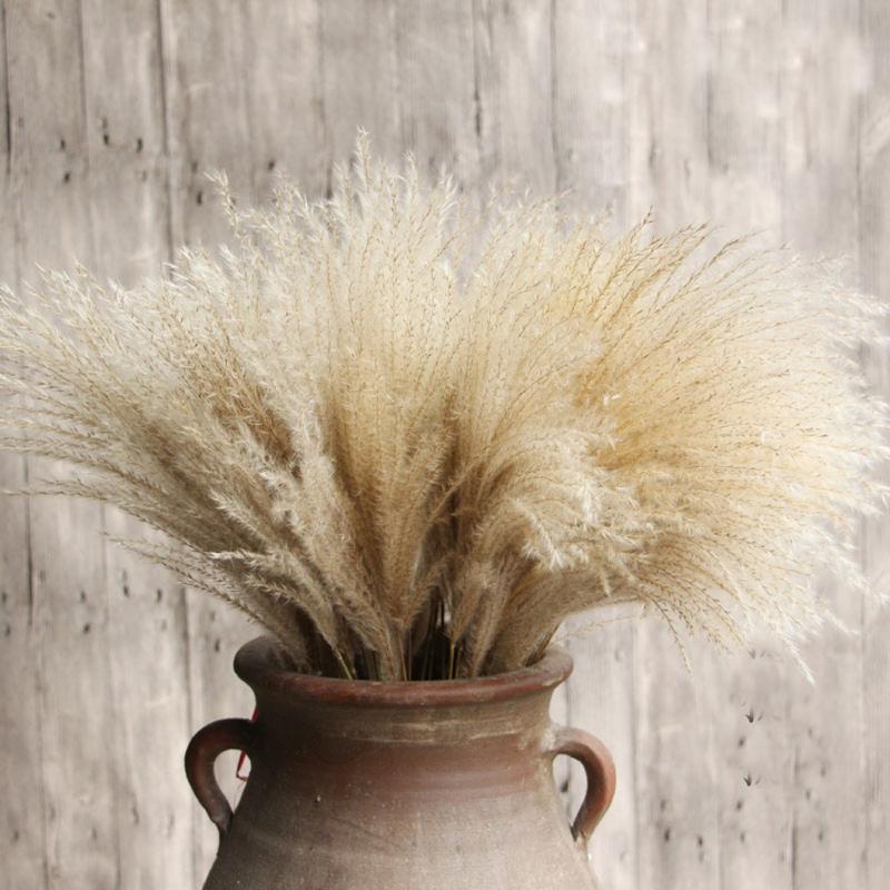 Decorative Flowers & Wreaths 100 Pieces Of Natural Dried Reed Bunch Bouquet Flower Arrangement Wedding Holiday Party Family Table Decoration