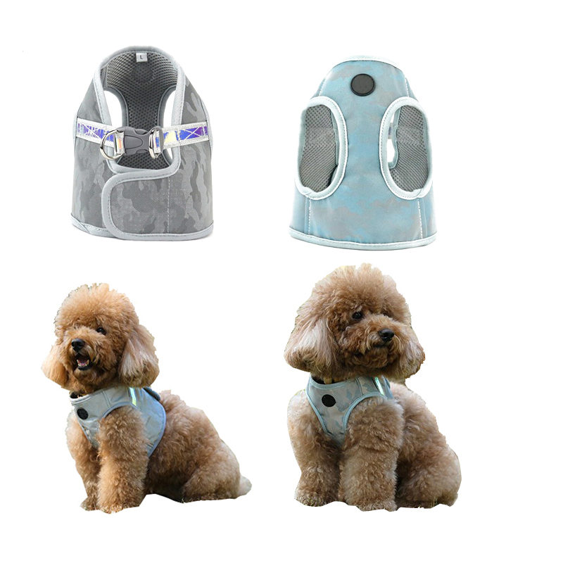Small Dog Harness High Reflective Colorful Pet Vest Harness Breathable Puppy Safety Chest Outdoor Walking for Pet Cats
Small Dog Harness High Reflective Colorful Pet Vest Harness Breathable Puppy Safety Chest Outdoor Walking for Pet Cats