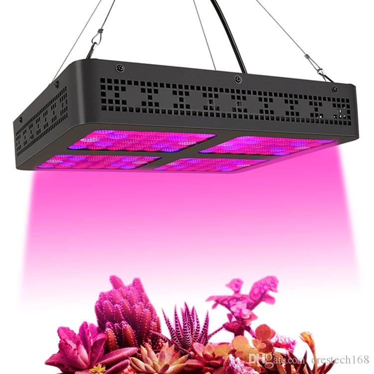 3000W Growing Lamps Plants Grow Lighting with Each Led Beads Full Spectrum 380~850nm for Indoor Greenhouse Veg and Blooming SMD3030 USA
3000W Growing Lamps Plants Grow Lighting with Each Led Beads Full Spectrum 380~850nm for Indoor Greenhouse Veg and Blooming SMD3030 USA