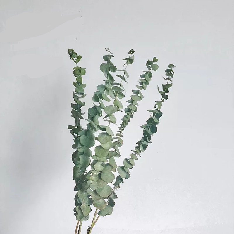 Green Fake Plants Large Eucalyptus Leaf Plants Wall Material Decorative Artificial Leaves For Home Shop Garden Home Decoration