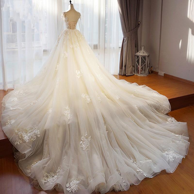 Gorgoues Pink Overskirts Blush Dresses Long Illusion Sleeves Jewel Neck Lace Applique Garden Chapel Train Wedding Bridal Gown