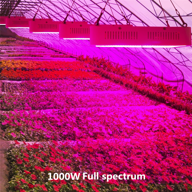 LED Grow Light Full Spectrum Double Switch Dimmable 1000W COB and Double Chips for Indoor Tent Greenhouses Hydroponics