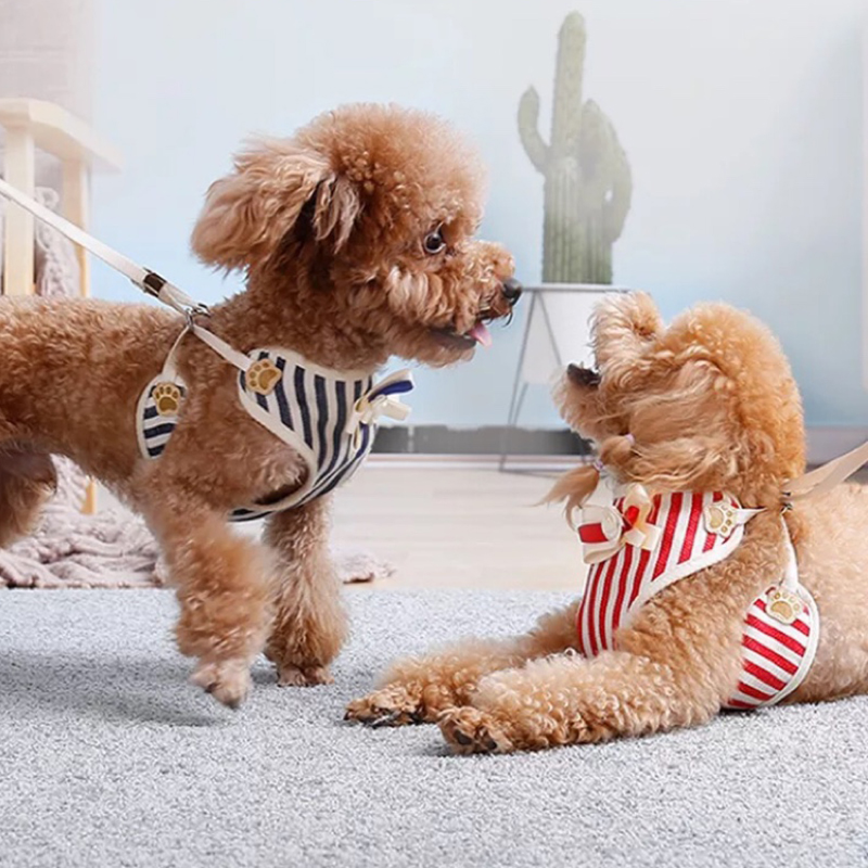 Retro Stripe Pet Dog Vest Harnesses Mesh Dog Harness Leash Set for Small Dogs Yorkshire Shih Tzu Leads Puppy Chain Pets Products
Retro Stripe Pet Dog Vest Harnesses Mesh Dog Harness Leash Set for Small Dogs Yorkshire Shih Tzu Leads Puppy Chain Pets Products
