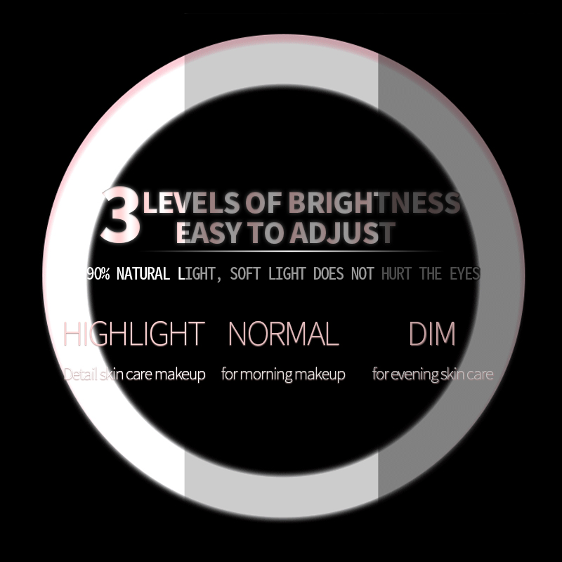 USB Chargable Mini LED Makeup Mirror Portable Compact Pocket Mirror 3 levels Brightness Light Hand 3X Magnifying