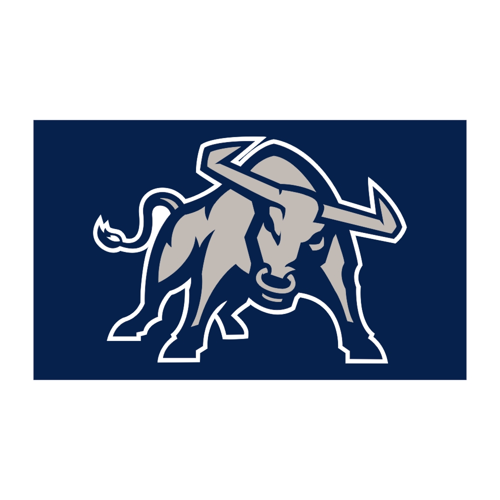 Custom Digital Print 3x5ft Free Drop shipping Outdoor Sport NCAA Football Utah State Aggies BULL OX Flags Banner for Decoration
Custom Digital Print 3x5ft Free Drop shipping Outdoor Sport NCAA Football Utah State Aggies BULL OX Flags Banner for Decoration