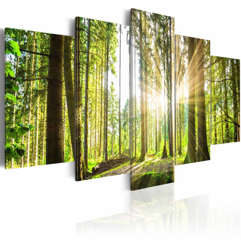 5 Panels Beautiful Spring Tree and Forest Modern Creative Nature Landscape Photography Picture Wall Art Picture Modern Home Decor Living Roo