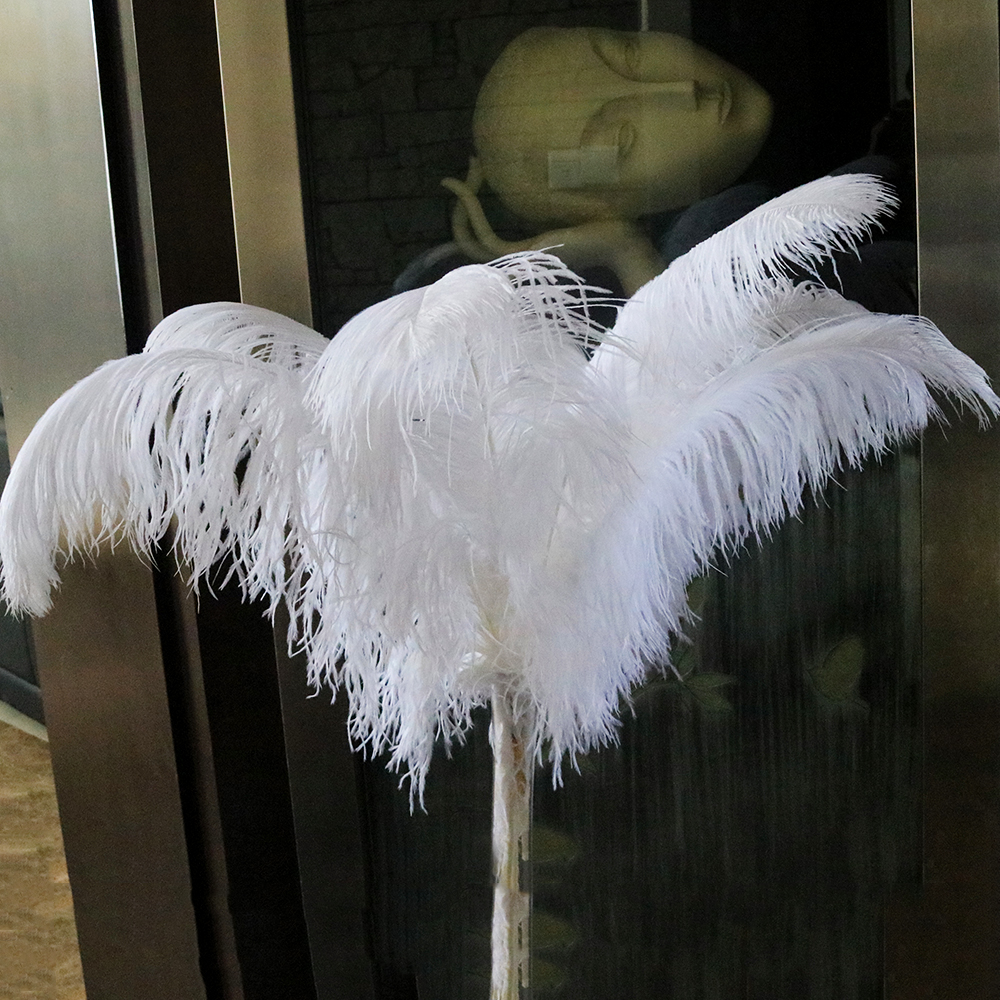 10PCS white ostrich feathers 1575cm for craft wedding party supplies carnival dancer decoration plumages