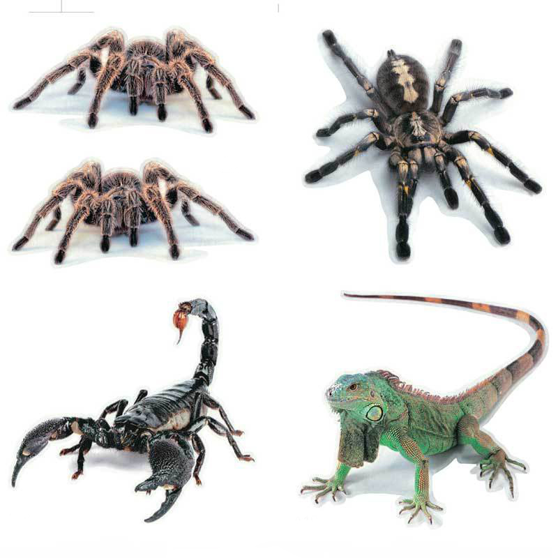 Car-styling Car Sticker 3D Animal Spider Vinyl Decals Home Stickers Auto Motorcycles Funny Halloween Stickers Exterior Accessories