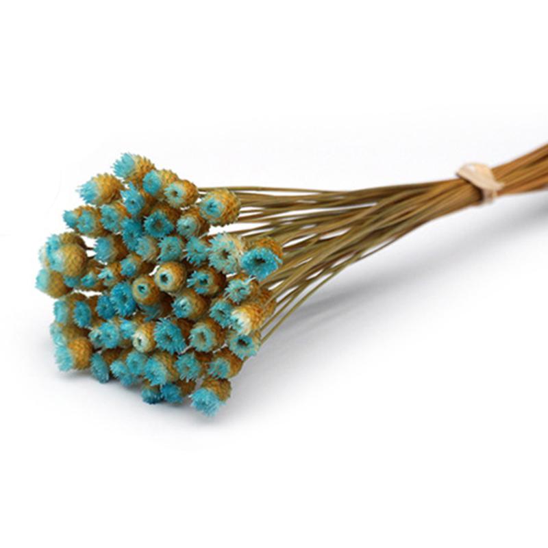 Flowers 50 Stems Dried Flowers for Arrangements Bundle Home Decor Photo Props Handmade Air-drying HFing, Light blue
Flowers 50 Stems Dried Flowers for Arrangements Bundle Home Decor Photo Props Handmade Air-drying HFing, Light blue