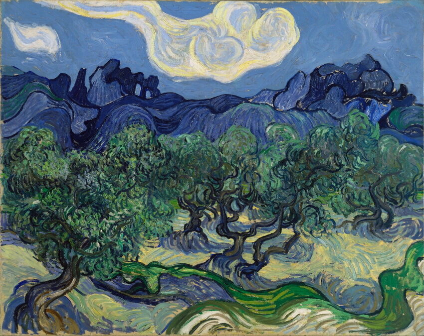 

Vincent Van Gogh The Olive Trees Home Wall Art Decor Handcrafts /HD Print Oil painting On canvas Wall Art Canvas Pictures 19