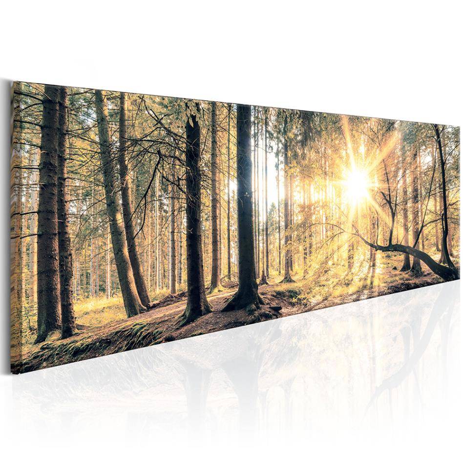 (NO Frame)Beautiful HD Modern Home Wall Decor Abstract Canvas Print Oil Painting Wall Art Picture House Decoration Posters