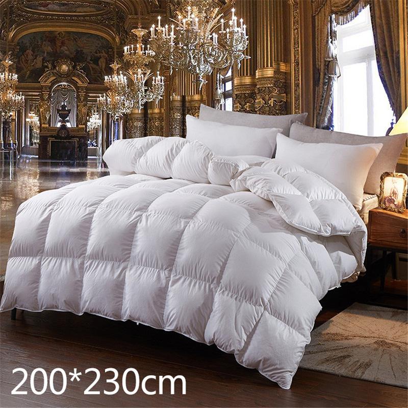 New Hot Down Comforter For Winter &Autumn Duvet Insert Blanket Filling Feather Down Quilt Duvet King Queen Twin Size