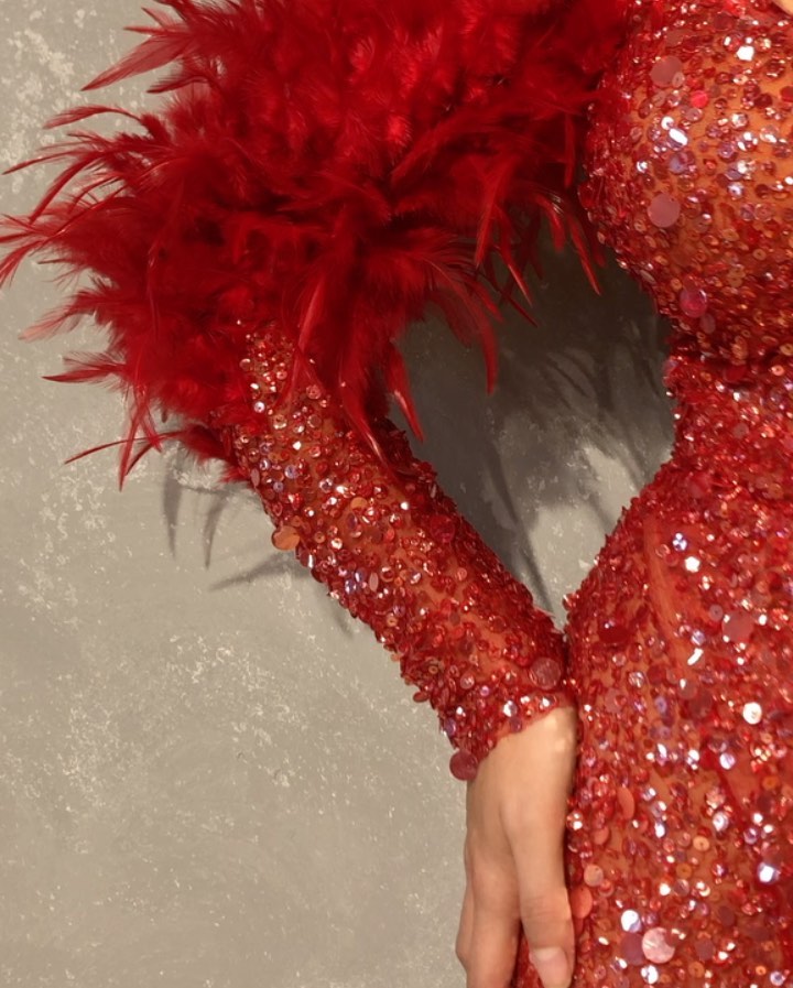 Luxury Red Mermaid Prom Dresses with Feathers Off Shoulder Sequined Long Sleeves Formal Evening Gowns Front Split Elegant Party Dress