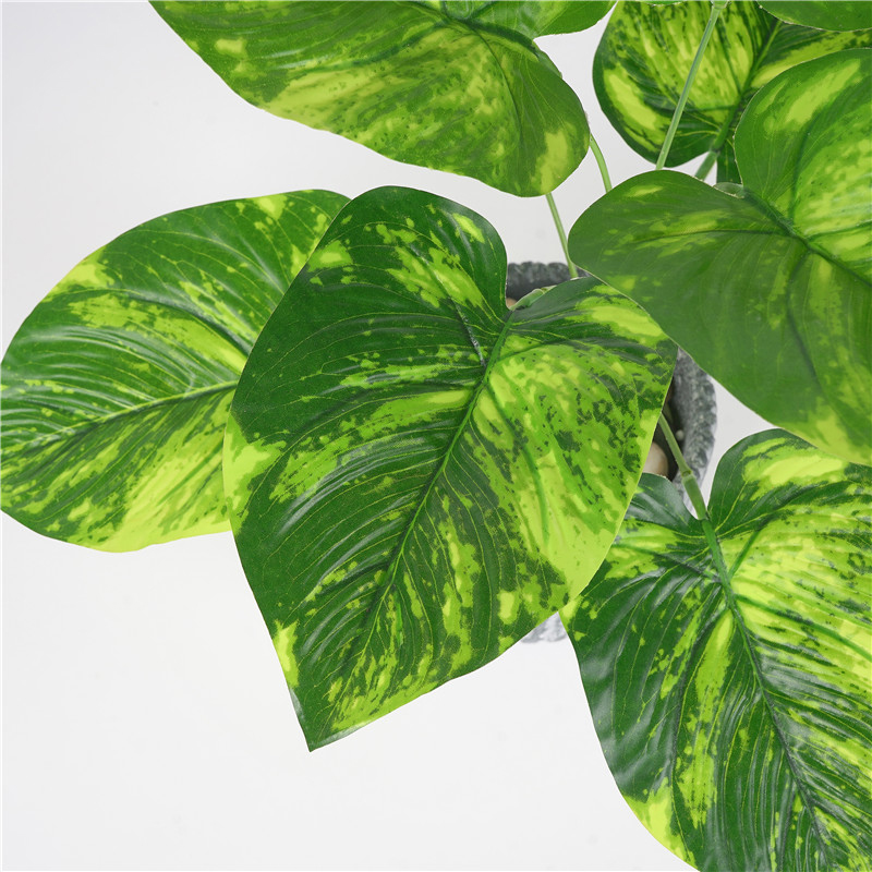 Display Artificial Plant 1pc 2 Colors 42cm Evergreen Leaf Realistic Fake Tree Leaves Greenery, As pic
Display Artificial Plant 1pc 2 Colors 42cm Evergreen Leaf Realistic Fake Tree Leaves Greenery, As pic