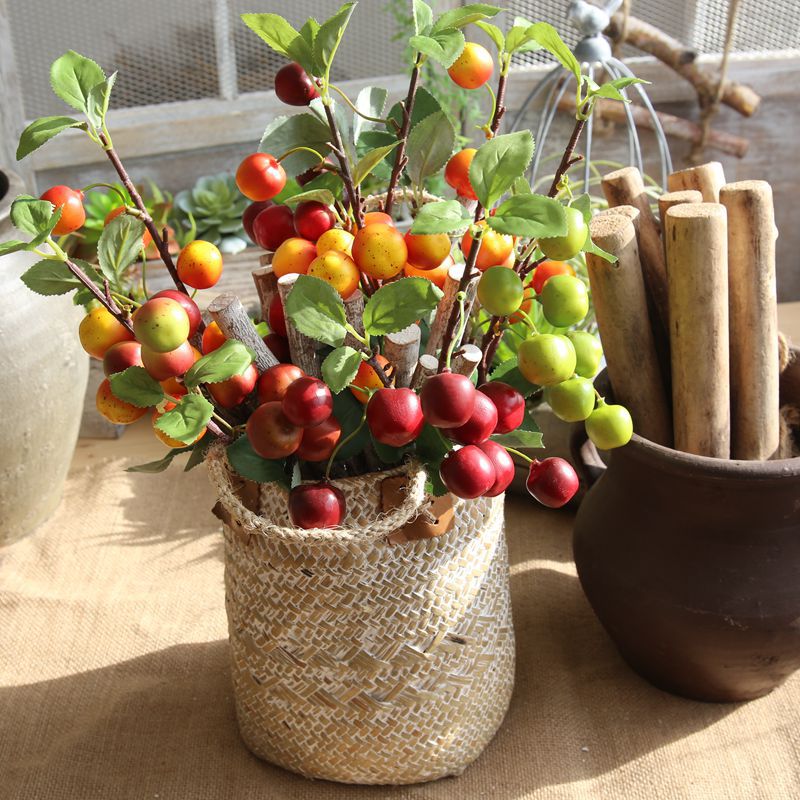 1pcs Artificial Dried Flowers Red Fruit Simulation Fruit Bean Branch Decoration Wedding Holding Flower Wall Fake Flower, Orange
1pcs Artificial Dried Flowers Red Fruit Simulation Fruit Bean Branch Decoration Wedding Holding Flower Wall Fake Flower, Orange