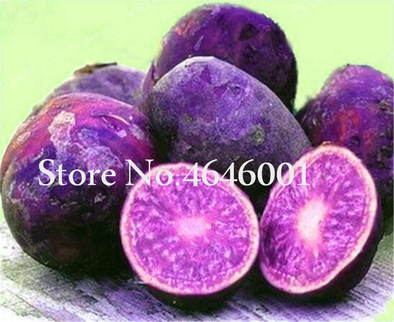 Chinese Seeds 200 pcs Giant Purple Potato plants Perennial Bonsai Tree Anti-wrinkle Vegetable plants For Home Garden Plants Flowers
Chinese Seeds 200 pcs Giant Purple Potato plants Perennial Bonsai Tree Anti-wrinkle Vegetable plants For Home Garden Plants Flowers