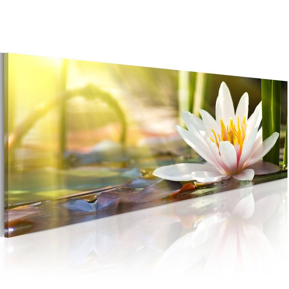 Green Blue Red Flower Abstract Oil Painting on Canvas Home Decor Wall Art Canvas Print Art Decor Watercolor Landscape Multicolor