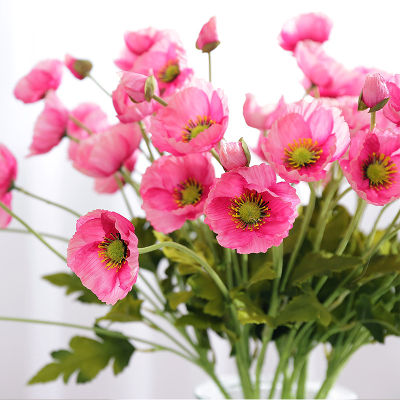 4 Heads/branch Poppy flowers with leaves Artificial flower fleurs artificielles for Home party Decoration flores Poppies
4 Heads/branch Poppy flowers with leaves Artificial flower fleurs artificielles for Home party Decoration flores Poppies