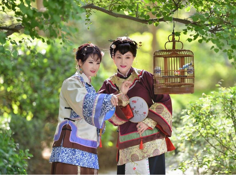 Movie TV show young women dress Qing Dynasty traditional dignified young ladies Robe photo studio Stage performance Costume