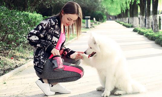 Pet Snack Bag For Cats Dogs Puppy Waterproof Oxford Cloth Training Bags Obedience Hands Free Agility Bait Food Treat Pouch Train Pouch
Pet Snack Bag For Cats Dogs Puppy Waterproof Oxford Cloth Training Bags Obedience Hands Free Agility Bait Food Treat Pouch Train Pouch