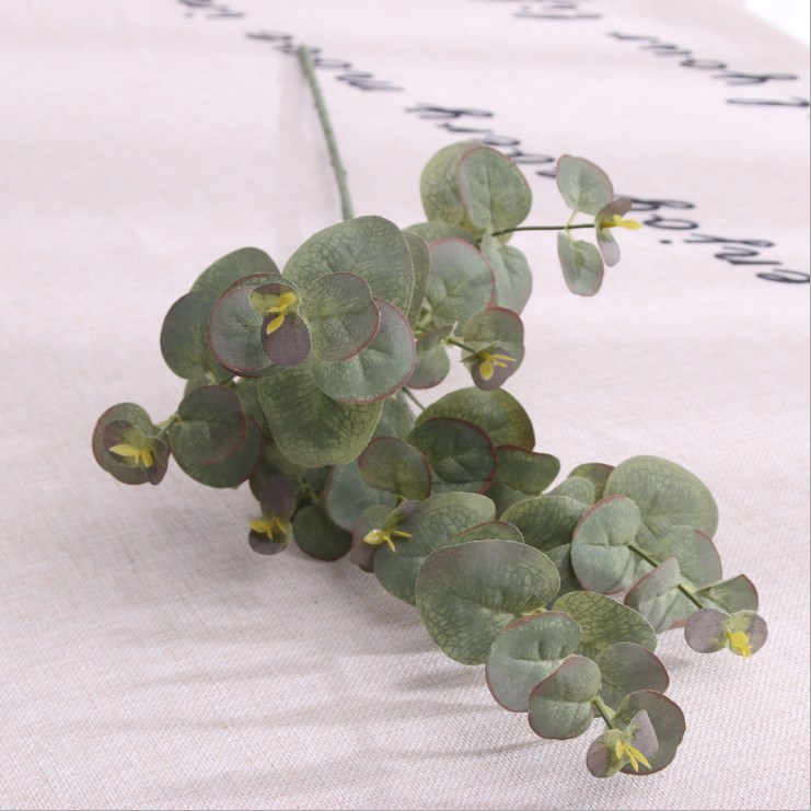 Simulation plant eucalyptus money leaf plastic flower decoration green plant wall fittings flower arrangement bunch of leaves, See chart
Simulation plant eucalyptus money leaf plastic flower decoration green plant wall fittings flower arrangement bunch of leaves, See chart