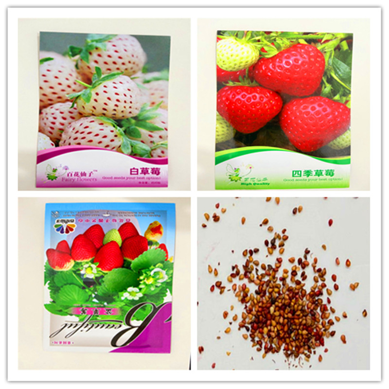 1 pack Original package Strawberry seeds Flores Organic Berry Fruit Plantas Vegetables Non-Gmo Bonsai Pot For Home Garden
1 pack Original package Strawberry seeds Flores Organic Berry Fruit Plantas Vegetables Non-Gmo Bonsai Pot For Home Garden
