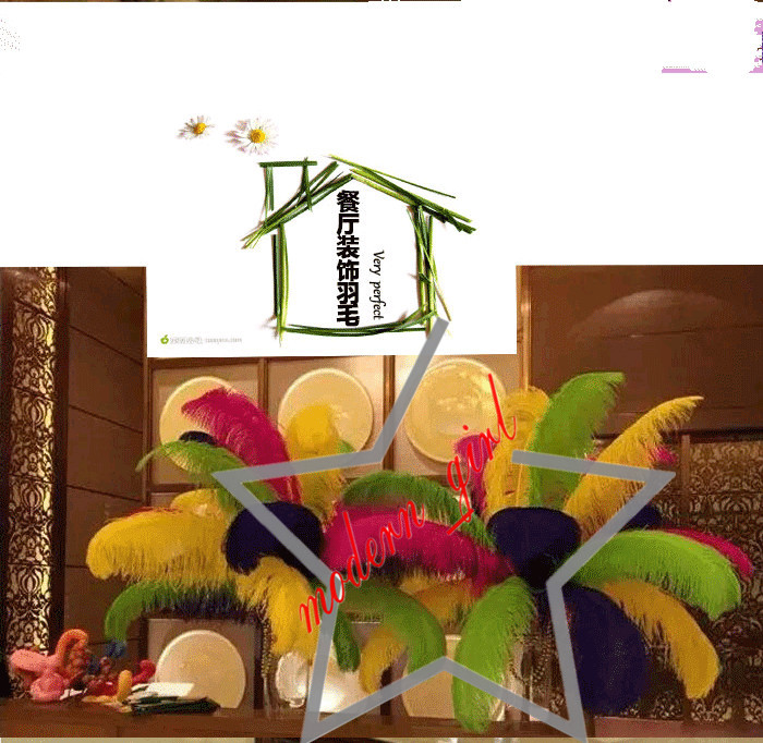 200 pcs Per lot 20-25cm White Ostrich Feather Plume Craft Supplies Wedding Party Table Centerpieces Decoration