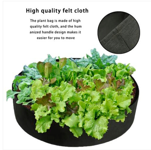 Wholesales Free shipping Hot sales 50 Gallons Fabric Raised Garden Bed Round Planting Container Grow Bags
Wholesales Free shipping Hot sales 50 Gallons Fabric Raised Garden Bed Round Planting Container Grow Bags