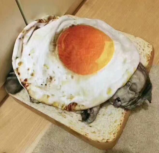 3D Fried Egg Cushion Decorative Pillow Throw Cushions with Inner Washable Sofa Toys Sleeping Pillow Birthday Christmas gift