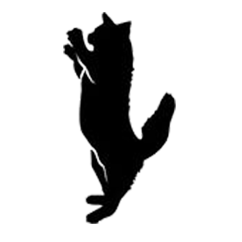 16*8.5cm Cool Cat Decal Cute And Interesting Fashion Sticker Decals Vinyl Car Wrap Decor Decals, Color
16*8.5cm Cool Cat Decal Cute And Interesting Fashion Sticker Decals Vinyl Car Wrap Decor Decals, Color