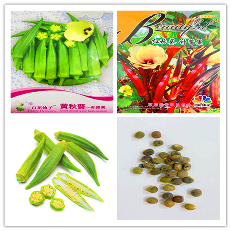 1 pack Original package Okra Bonsai Vegetable seeds Very Heavy Atlantic Giant Plants Organic Vegetable Food For Home Garden
1 pack Original package Okra Bonsai Vegetable seeds Very Heavy Atlantic Giant Plants Organic Vegetable Food For Home Garden