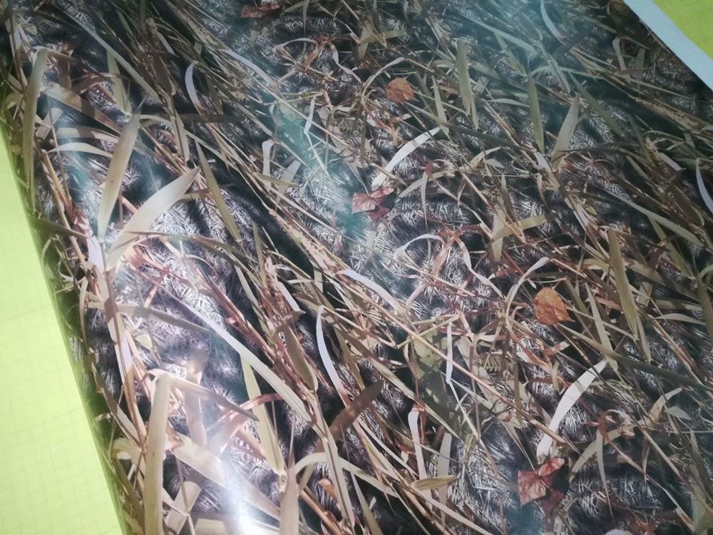 Grass realtree matte Camouflage Vinyl wrap for Vehicle car wrap film Camo Truck Wrap covering foil Self adhesive stickers 1.52x30m 5x98ft
