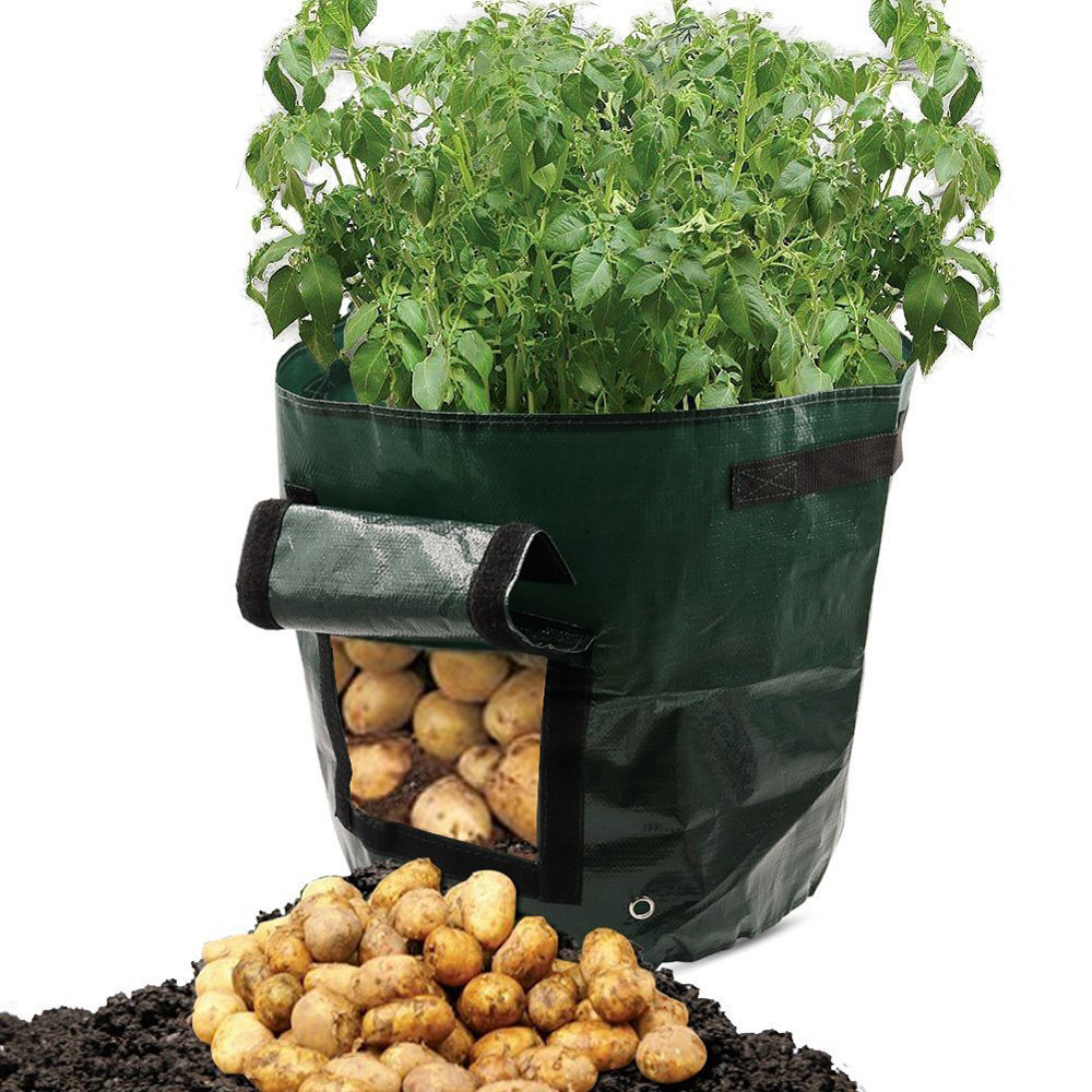 Vegetable Plant Grow Bag DIY Potato Grow Planter PE Cloth Tomato Planting Container Bag Thicken Garden Pot Garden Supplies
Vegetable Plant Grow Bag DIY Potato Grow Planter PE Cloth Tomato Planting Container Bag Thicken Garden Pot Garden Supplies