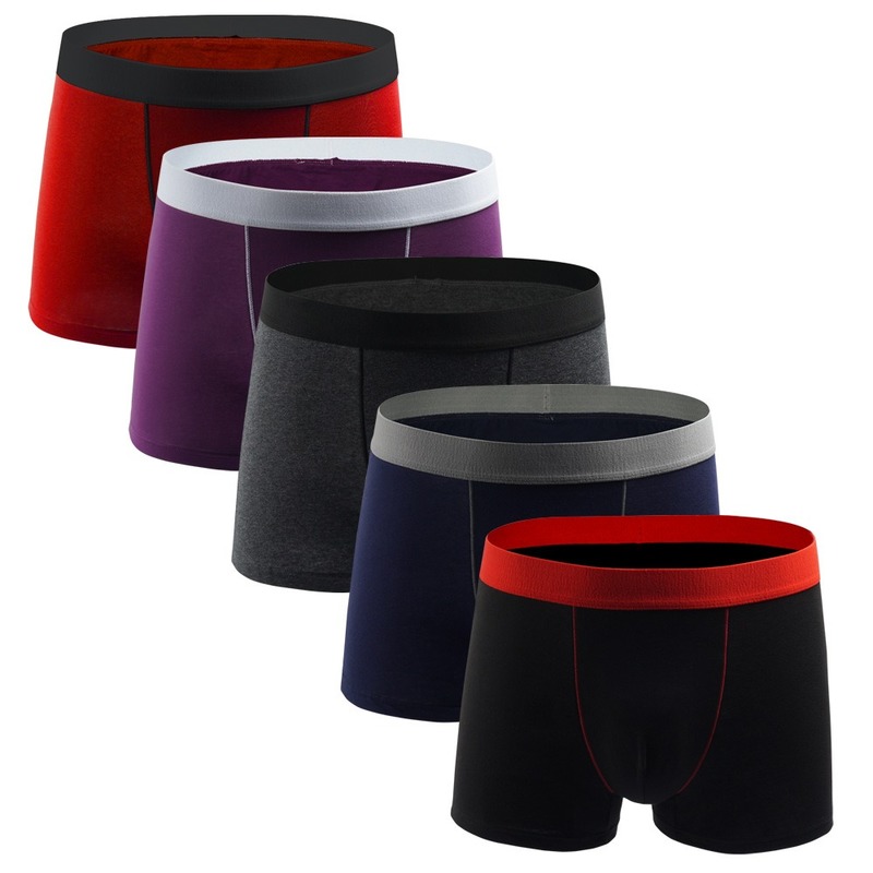 5PCS/Lots Men Underwear Calzoncillo Hombre Cotton Boxer Shorts Casual Elastic European Size Trunks Slip Homme Boxershorts 2XL, 5pcs purple
5PCS/Lots Men Underwear Calzoncillo Hombre Cotton Boxer Shorts Casual Elastic European Size Trunks Slip Homme Boxershorts 2XL, 5pcs purple